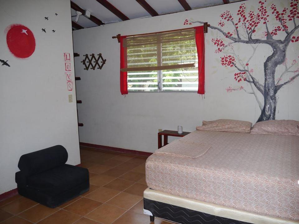 Free Spirit Hostel Transito Bagian luar foto